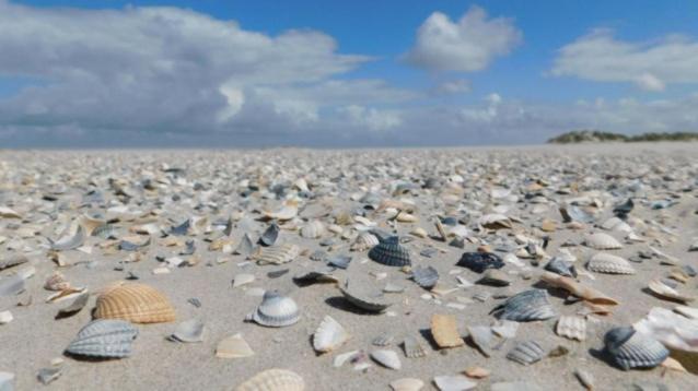 Willa Rust Aan De Kust Middelkerke Zewnętrze zdjęcie